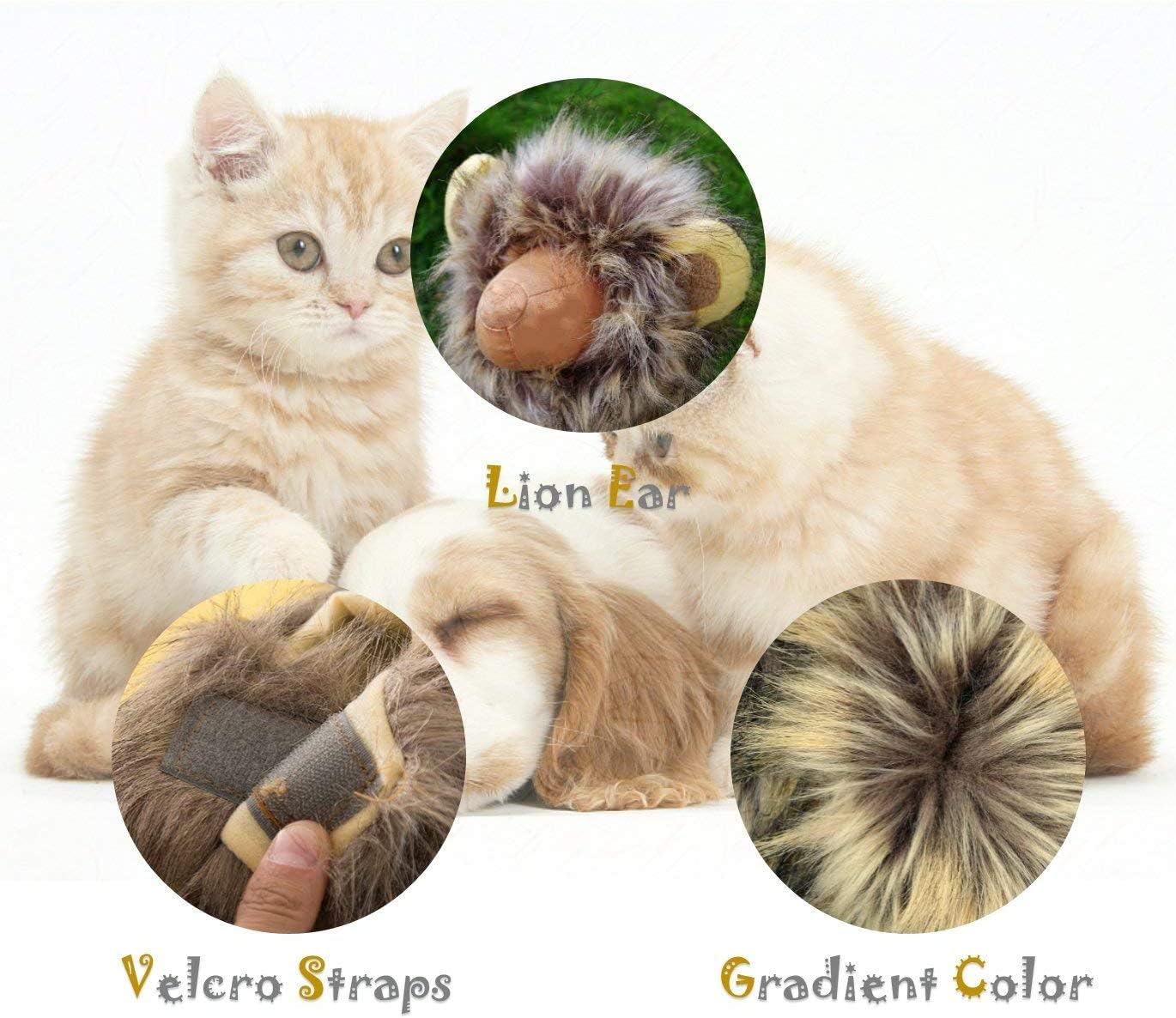 Cat Lion Mane Halloween Pet Costume Kitten Outfits Party Dress up Apparel Kitty and Cat Costumes (Cat Lion Mane)